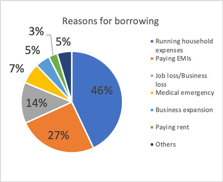 Reasons for borrowing